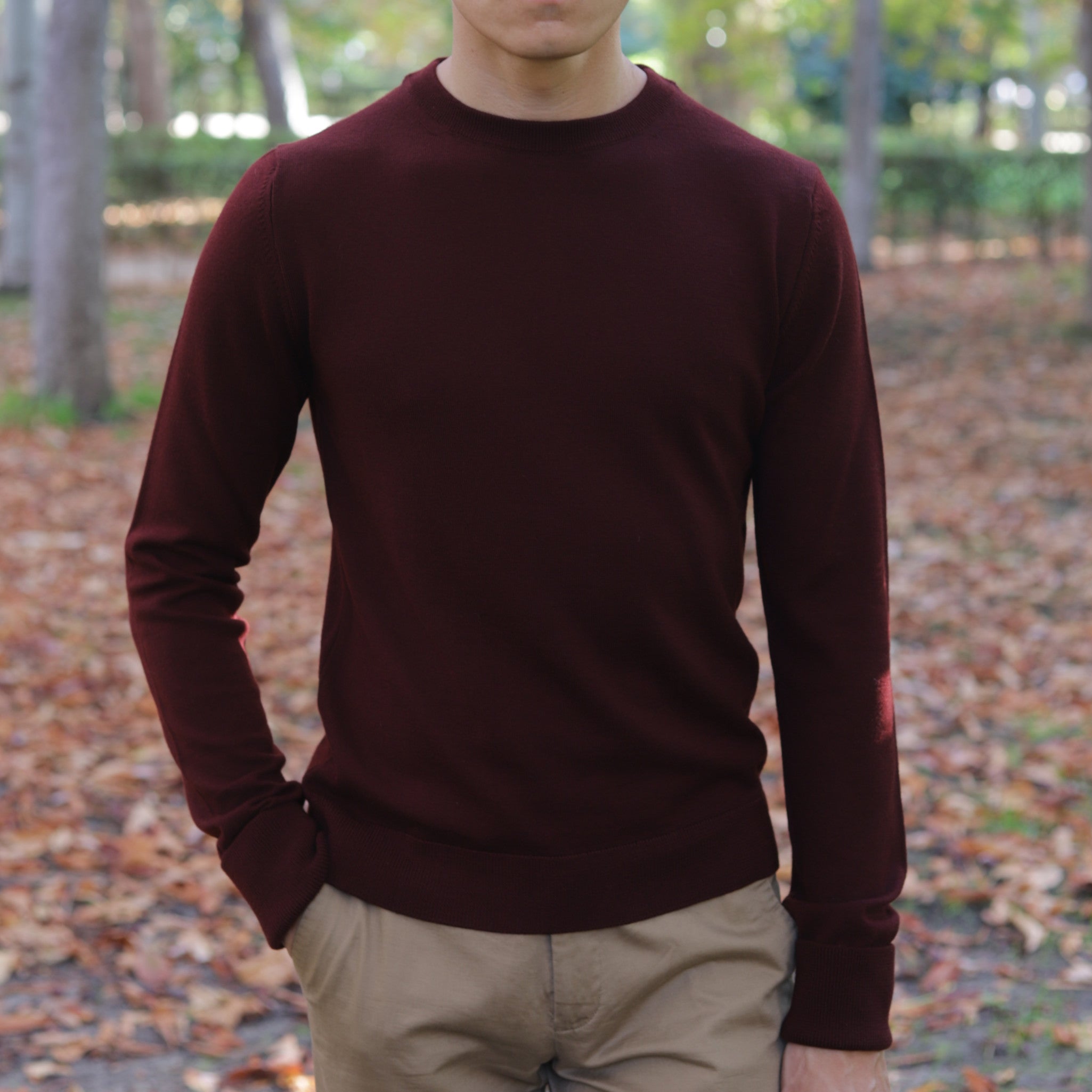 Jersey Lana Merino Zegna Baruffa