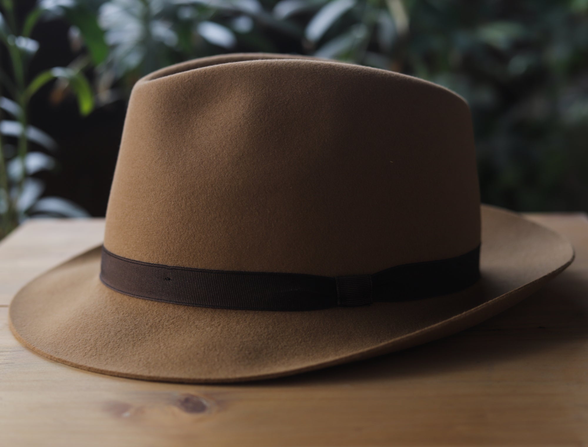 Sombreros de pelo de conejo